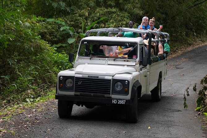 Treetop Adventure Park Canopy Tour - Treetop Adventure Park Canopy Tour: the quick pitch