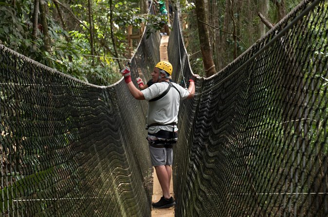 Treetop Adventure Park Canopy Tour - Food and drinks: what’s included and what you’ll pay extra for