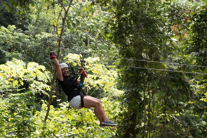 Treetop Canopy Adventure - Panoramic Platforms: Camera Tips for Real-World Results