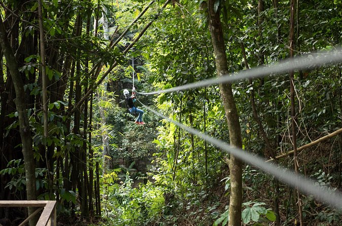 Treetop Canopy Adventure - Refreshments After Your Final Zip