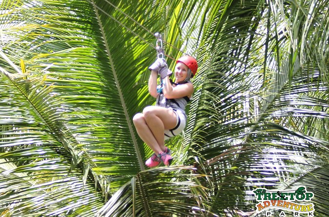 Treetop Canopy Adventure - Price and Value of $92.31 for a Half-Day Zipline Tour