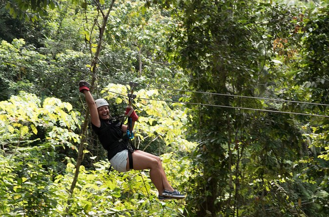 Treetop Canopy Adventure - Gear, Fitness Level, and the Child Height Rule That Matters