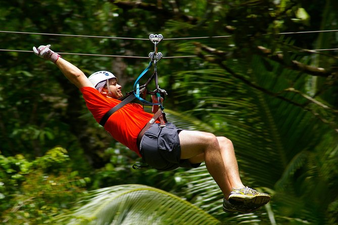 Treetop Canopy Adventure - 800-Foot Runs and 150-Foot Heights: What the Numbers Feel Like