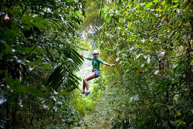 Treetop Zipline Experience From Castries - Key things to know before you go