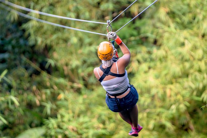 Treetop Zipline Experience From Castries - Price and value: what $121.60 buys in St Lucia