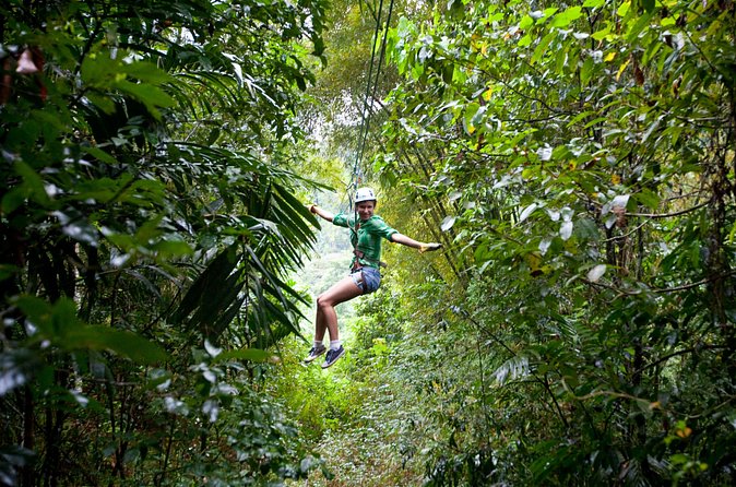 Treetop Zipline Experience From Castries - From briefing to first cable: what the ride setup feels like