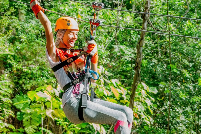 Treetop Zipline Experience From Castries - The 12 zip lines plus net bridge: heights, speed, and the best viewing moments