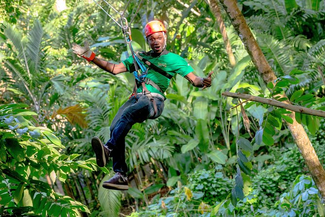 Treetop Zipline Experience From Castries - Caribbean flora and fauna: how the tour turns views into a nature experience