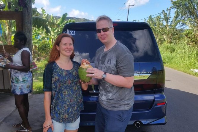 Trip to Soufiere: Volcano, Twin Pitons, Waterfall, Mud Bath & Botanical Garden - What you pay versus what you get: value check