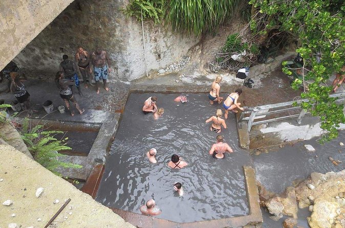 Volcanic Tour and Botanical Gardens - The drive, the extras, and how the guide shapes your day
