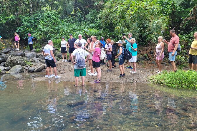 Waterfall and Beach Safari in Santa Lucia - Guides and drivers: why so many reviews sound like the same story
