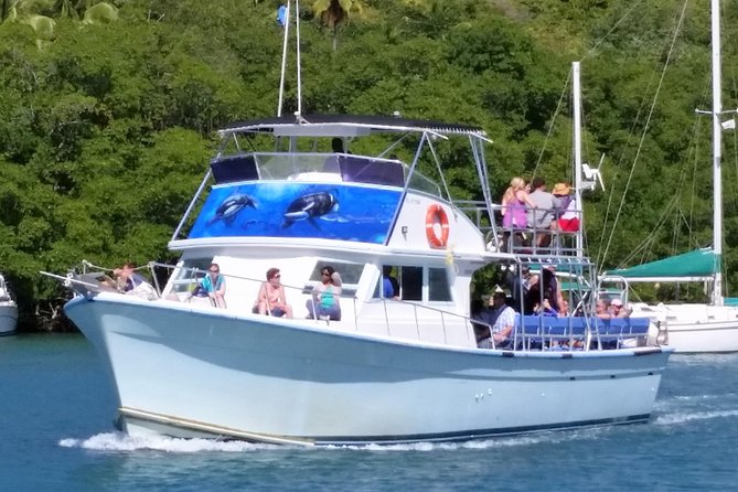 Whale and Dolphin Watching Cruise in St Lucia - What Wildlife You Can Expect Around St Lucia