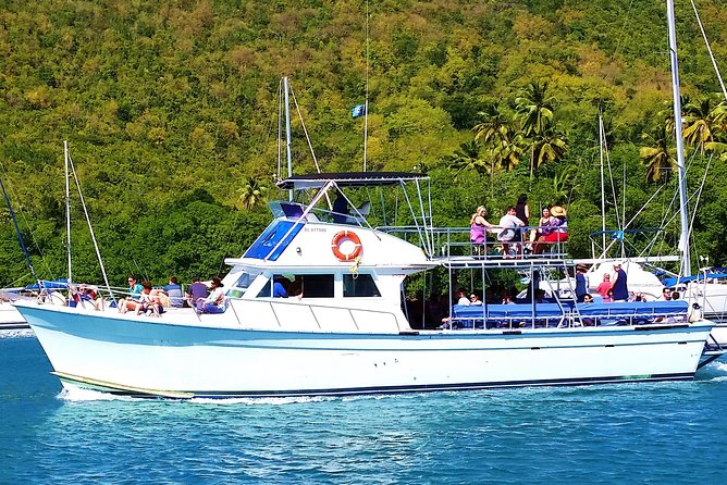 Whale and Dolphin Watching Cruise in St Lucia - Why the Marine Expert Notes Matter More Than You Think