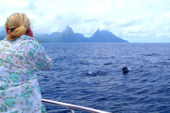 Whale and Dolphin Watching Cruise in St Lucia - Who This Cruise Suits Best (and Who Should Rethink It)