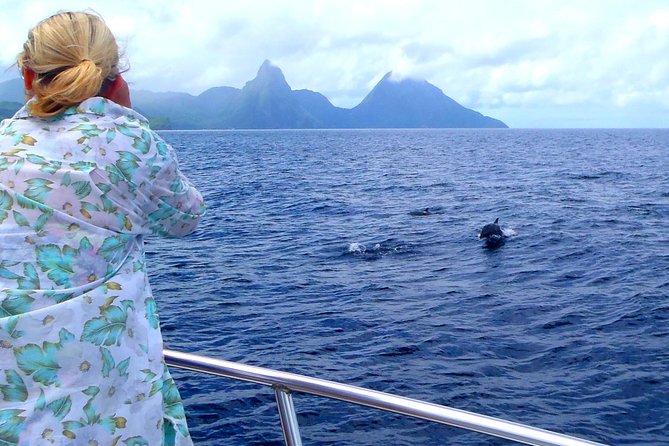 Whale Watching and Dolphin Spotting Cruise - Key highlights worth planning for
