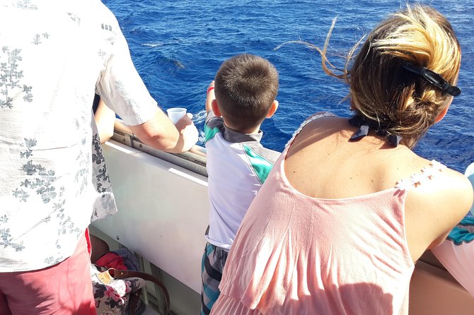 Whale Watching and Dolphin Spotting Cruise - Captain and crew: spotting skills, safety, and friendly service